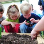 process-of-composting-the-s